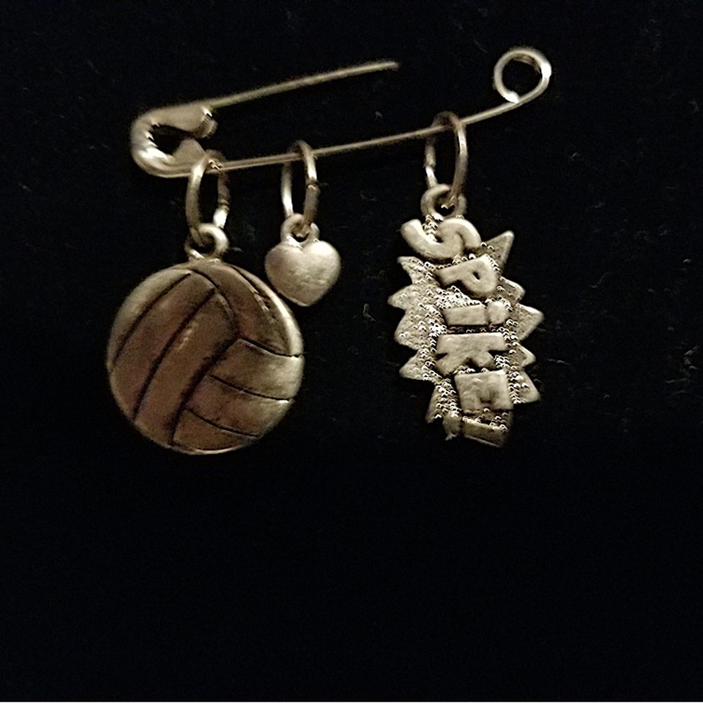 Premier Designs Charms